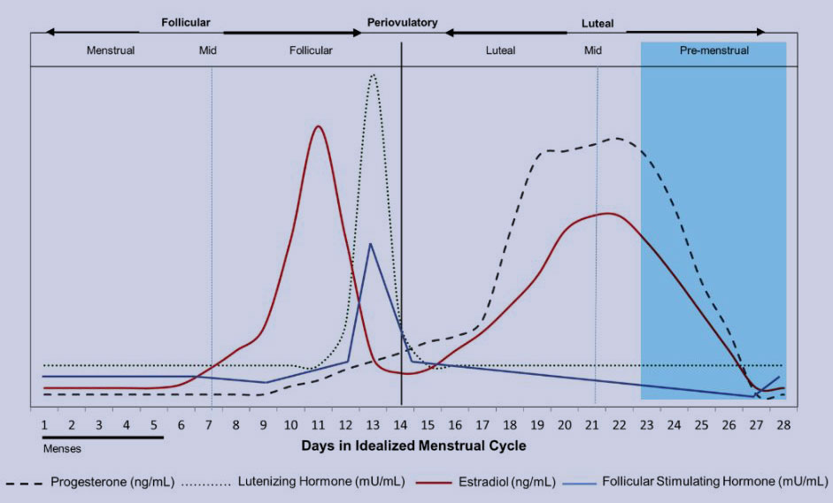 Menstrual Cycle Patterns in Healthy Women